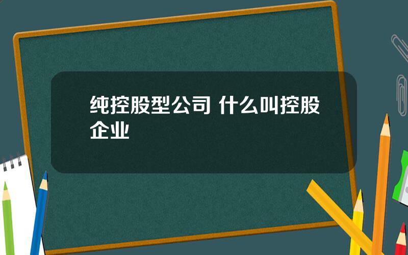 纯控股型公司 什么叫控股企业